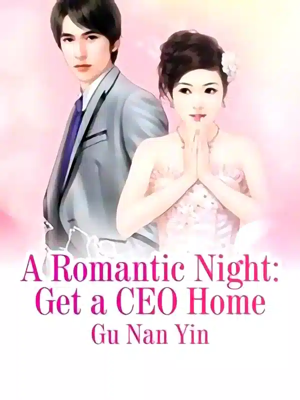 A Romantic Night: Get a CEO Home novel cover