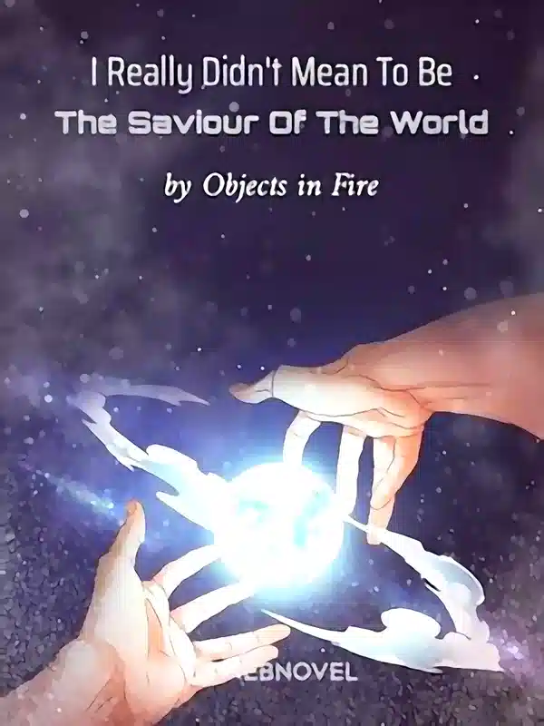 I Really Didn't Mean To Be The Saviour Of The World cover