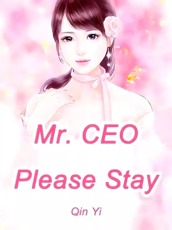 Mr. CEO, Please Stay cover