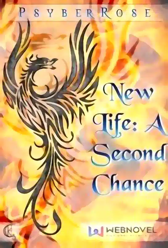 New Life : A Second Chance novel cover