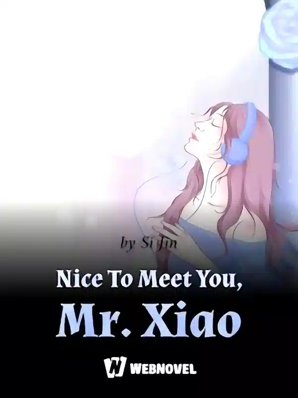 Nice To Meet You, Mr. Xiao cover