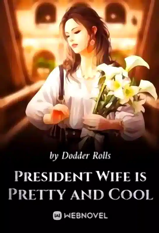 President Wife is Pretty and Cool novel cover