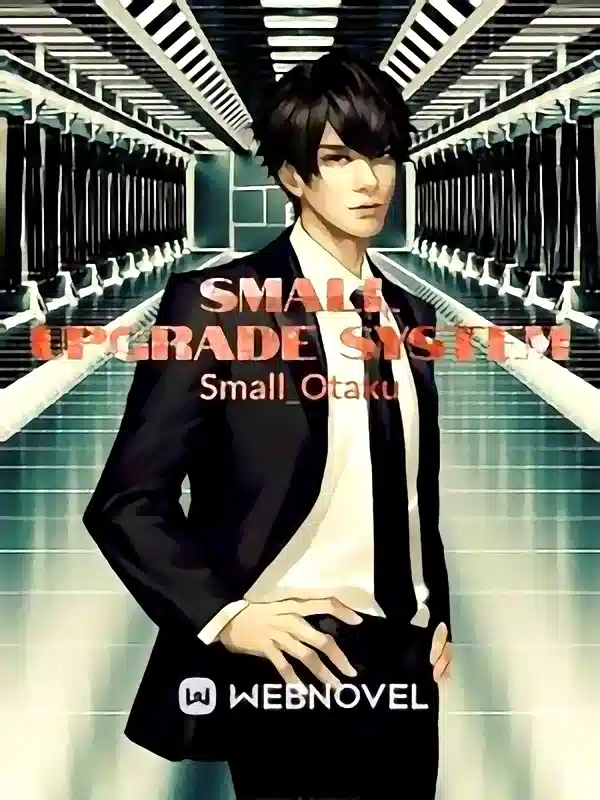 Small upgrade system novel cover